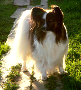 �������