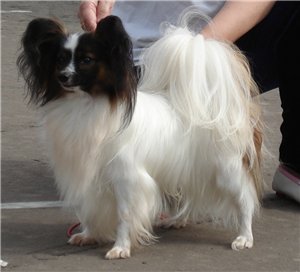 ��������